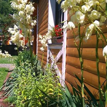 Gosciniec Pod Brzegiem Отель типа 