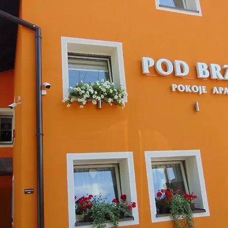 Gosciniec Pod Brzegiem 3* Устронь