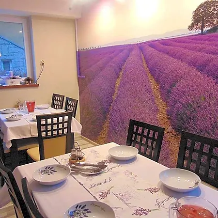 Gosciniec Pod Brzegiem Couette-café 3*