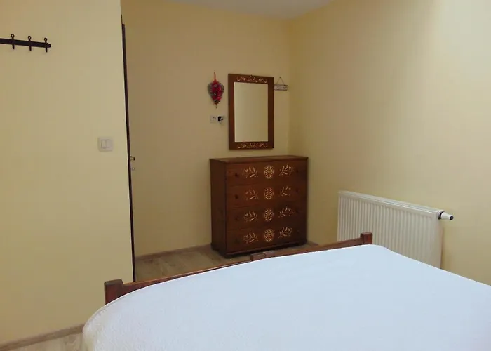 Gosciniec Pod Brzegiem 3* 우스트론