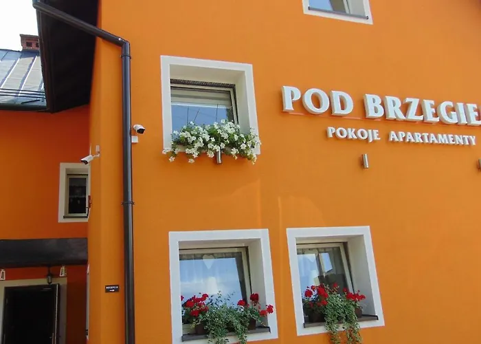 Gosciniec Pod Brzegiem 3* 우스트론